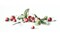 Luca-S; Etude with Strawberries Counted Cross-Stitch Kit by Luca-S B2254L; Category:Cross Stitch; Image:3